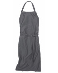 CGI131-ELA-0