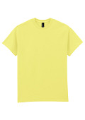 GIL2000-CS475-2
