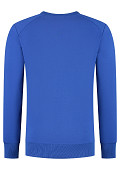 LEM4732-RB-1