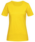 STE7600-SUN-0