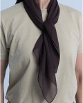 CGI1539