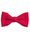 CGI170-RED-0