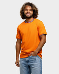 LEM1205